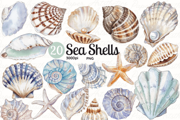 Download Seashell Clipart Sea Shell Illustrations - Sea Collection
