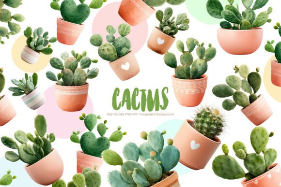 Download Cactus Clipart Bundle | PNG Plants - Plant Collection